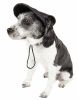 Dog Adjustable Hat Fashion 'Cap-Tivating' UV Protectant